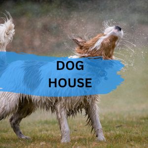 Dog House
