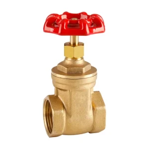 22MM BRASS GATE VALVE UNITWIST