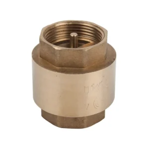 Non Return Valve 15MM Spring Check